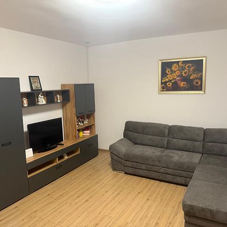 Modernul Apartament De Langa Castel Χουνεντοάρα Εξωτερικό φωτογραφία