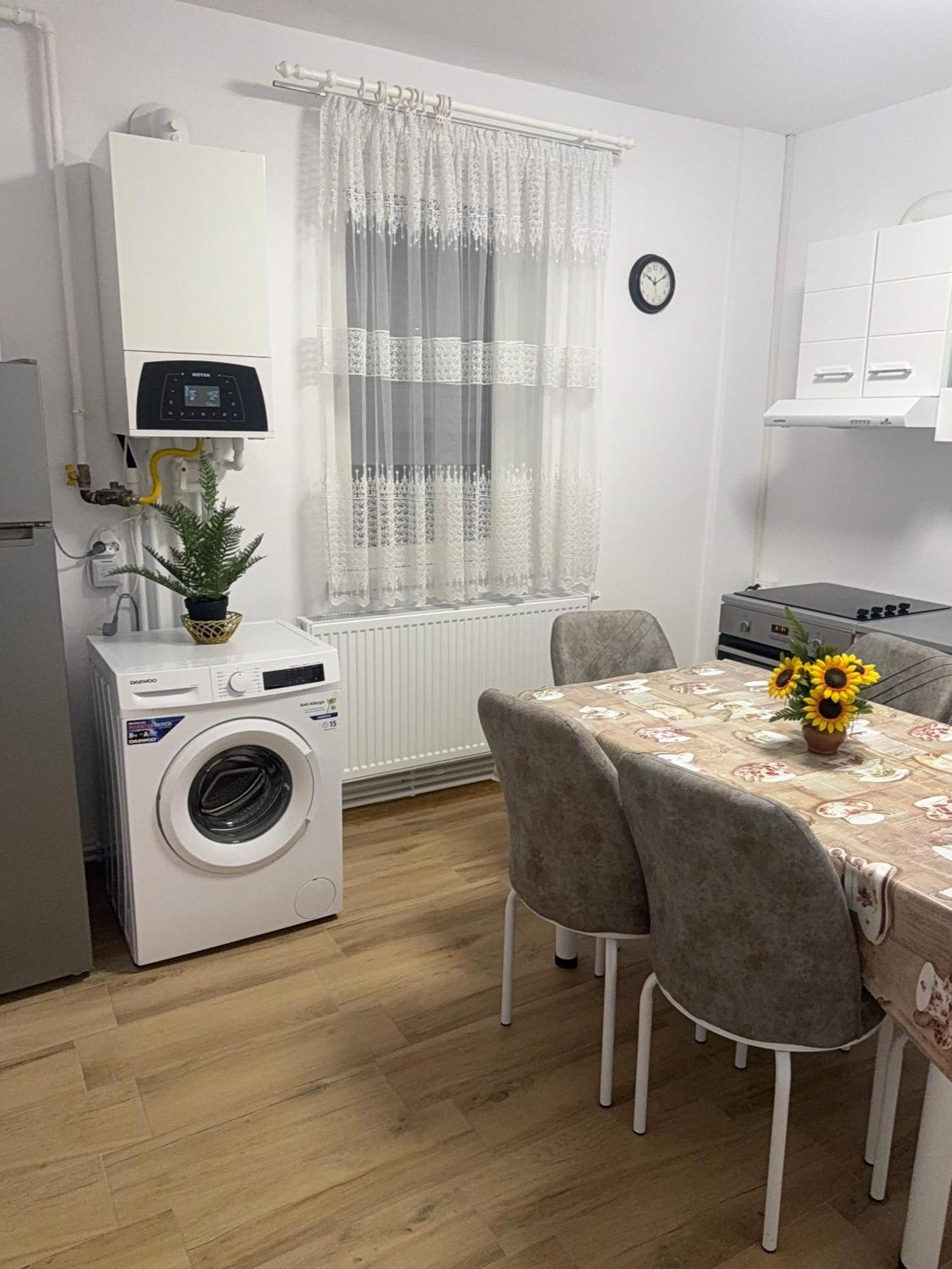 Modernul Apartament De Langa Castel Χουνεντοάρα Εξωτερικό φωτογραφία